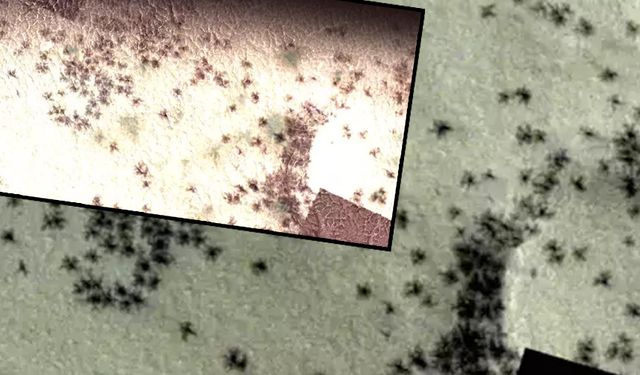 Mars'ta neler oluyor? Zeminde örümceğe benzeyen topluluklar görüldü